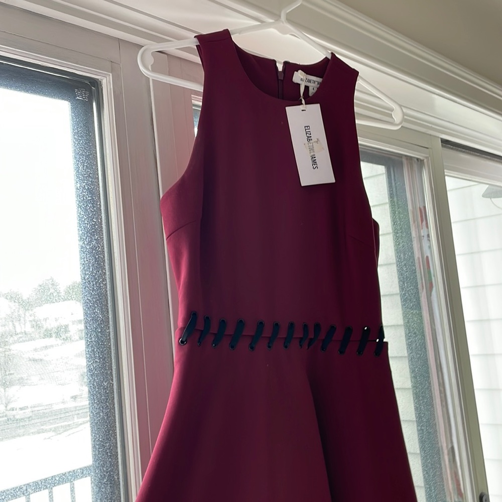 NWT Elizabeth and James cocktail dress